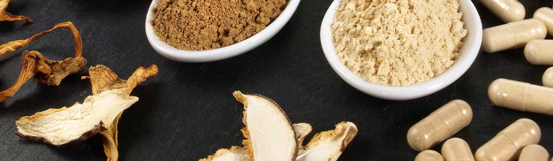 Vitalpilze / Mykotherapie