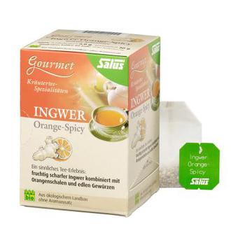INGWER ORANGE Spicy Tee Salus Filterbeutel