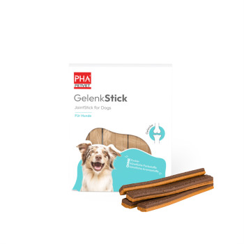 PHA GelenkStick f.Hunde