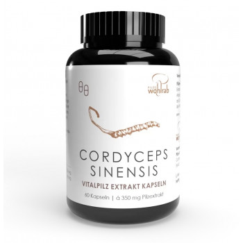 CORDYCEPS SINENSIS Extrakt Konventionell Kapseln