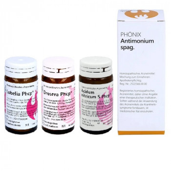 Phönix Atmungskonzept